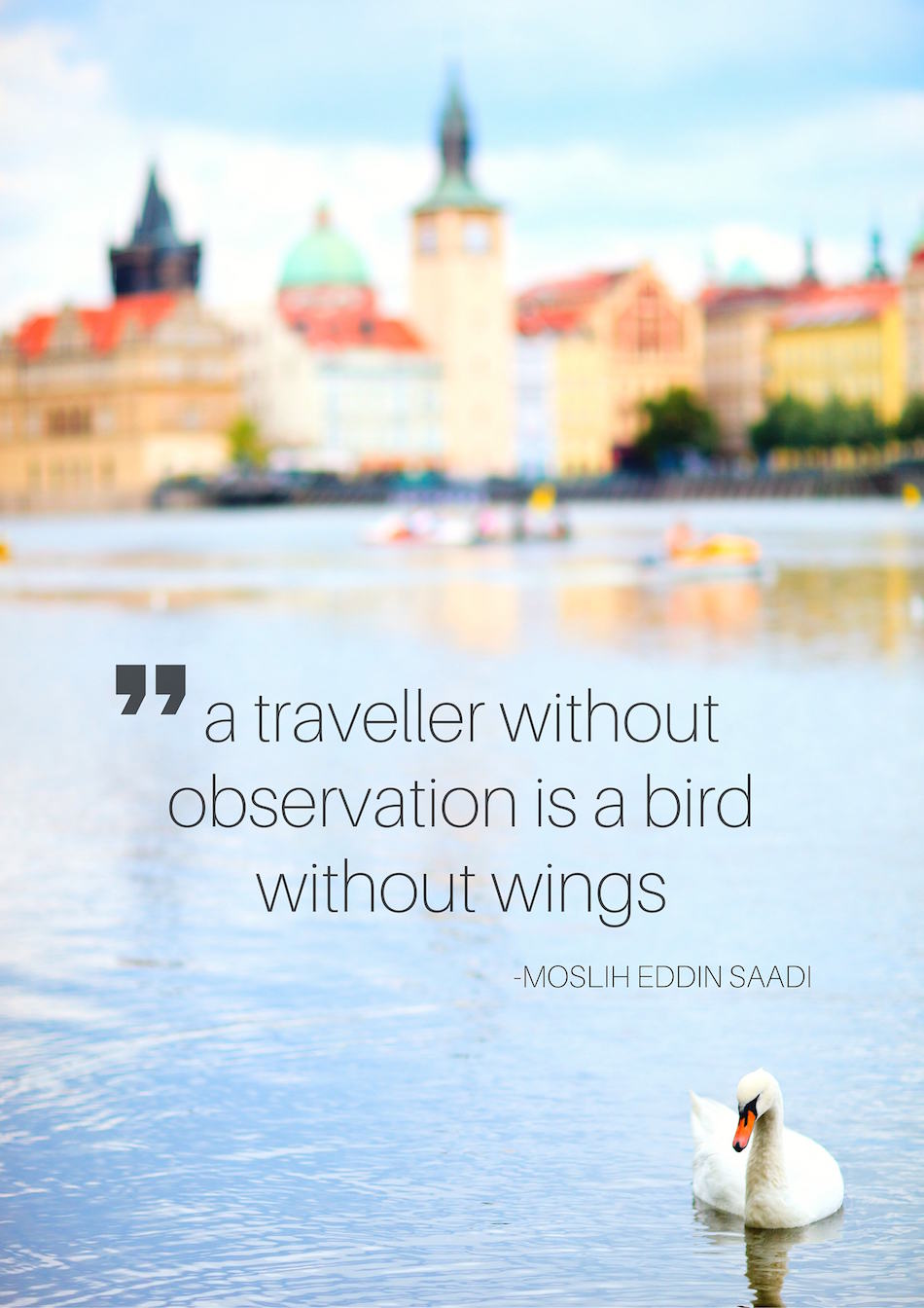 a traveller without observation is a bird without wings moslih eddin saadi quote