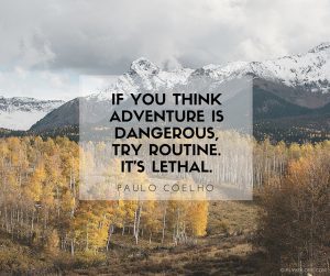 if you think adventure is dangerous try routine it's lethal paulo coelho quote